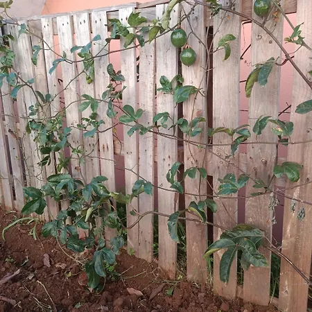 Casa Bela Vista 1 4*