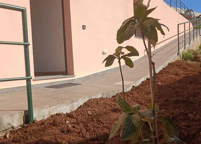 Casa Bela Vista 1 Pensjonat Ribeira Brava