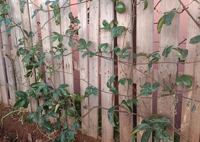 Casa Bela Vista 1 4*